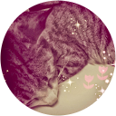AAI profile picture