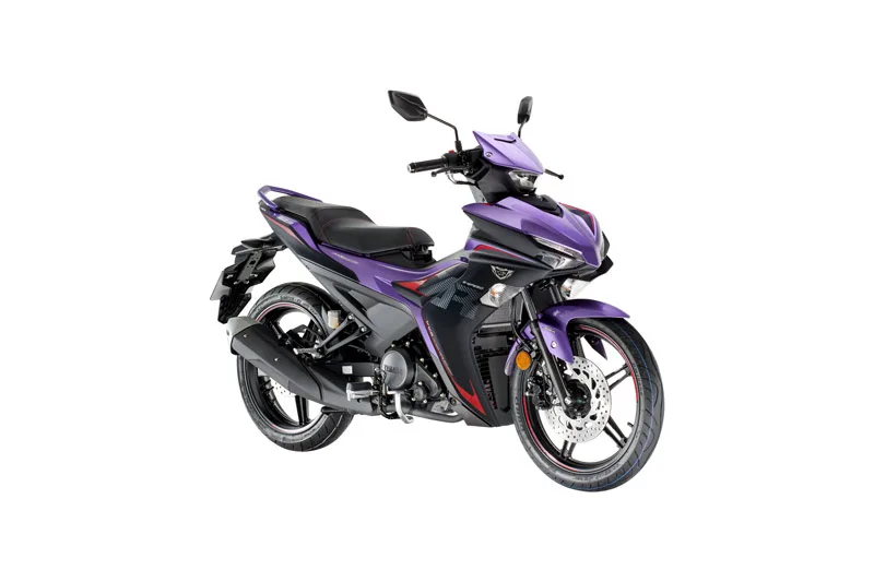 Y16ZRViolet-Knight-1